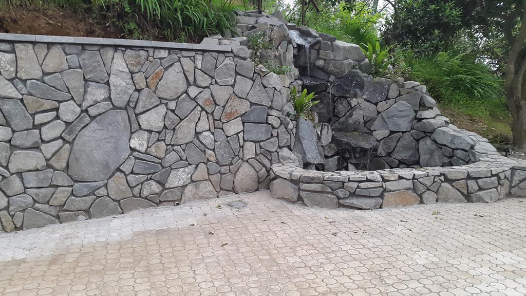 Lasha Guest House Makhinjauri Εξωτερικό φωτογραφία